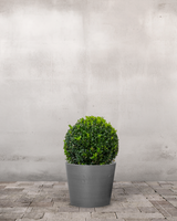 type=Greenify Udendørskrukke/color=Grå