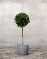 type=Greenify Udendørskrukke/color=Grå