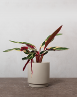 type=Simple krukke/color=Light Sand