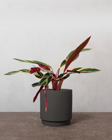 type=Simple krukke/color=Warm Black