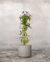 type=Simple krukke/color=Light Sand