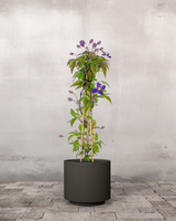 type=Simple krukke/color=Warm Black