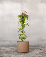 type=Simple krukke/color=Pale Terracotta