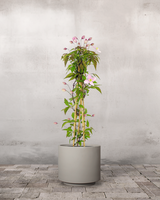 type=Simple krukke/color=Light Sand