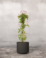 type=Simple krukke/color=Warm Black