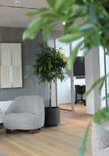 Simple Pot Lite - Warm Black - Ø55