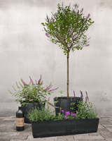 type=Greenify Udendørskrukke/color=Sort