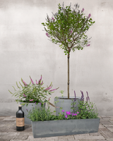 type=Greenify Udendørskrukke/color=Grå