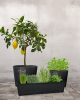 type=Ingen krukke/color=Ingen farve