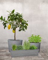 type=Greenify Udendørskrukke/color=Sort