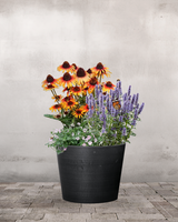 type=Greenify Udendørskrukke/color=Sort