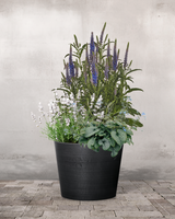 type=Ingen krukke/color=Ingen farve