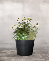 type=Ingen krukke/color=Ingen farve