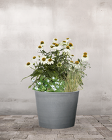 type=Greenify Udendørskrukke/color=Sort