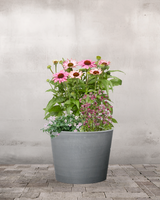 type=Ingen krukke/color=Ingen farve