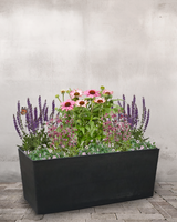 type=Ingen krukke/color=Ingen farve