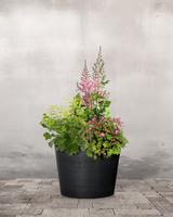 type=Ingen krukke/color=Ingen farve