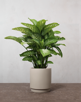 type=Simple krukke/color=Light Sand