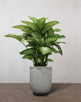 type=Glaseret krukke/color=Grå