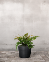 type=Greenify Udendørskrukke/color=Sort