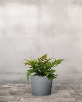 type=Greenify Udendørskrukke/color=Grå