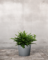 type=Greenify Udendørskrukke/color=Grå