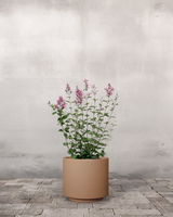 type=Simple krukke/color=Pale Terracotta