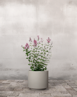 type=Simple krukke/color=Light Sand