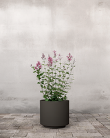 type=Simple krukke/color=Warm Black