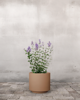 type=Simple krukke/color=Pale Terracotta