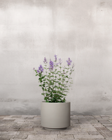 type=Simple krukke/color=Light Sand