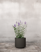 type=Simple krukke/color=Warm Black