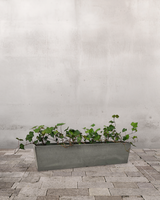 Efeukassen - Altankasse m. vandreservoir