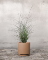 type=Simple krukke/color=Pale Terracotta