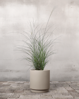 type=Simple krukke/color=Light Sand