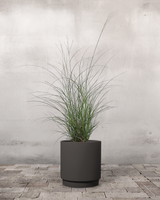 type=Simple krukke/color=Warm Black