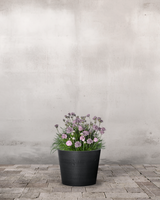 type=Greenify Udendørskrukke/color=Sort