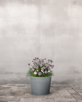 type=Greenify Udendørskrukke/color=Grå