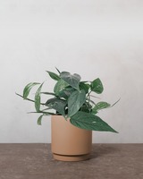 type=Simple krukke/color=Pale Terracotta