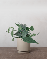 type=Simple krukke/color=Light Sand