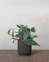 type=Simple krukke/color=Warm Black