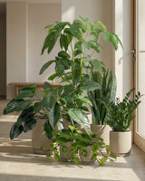 type=Simple Pot Lite/color=Light Sand