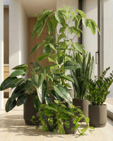 type=Simple Pot Lite/color=Warm Black