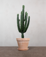 type=Terracotta krukke/color=Terracotta