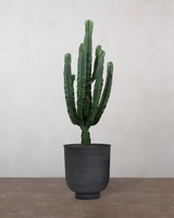 type=Vig krukke/color=Sort