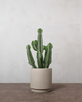 type=Simple krukke/color=Light Sand