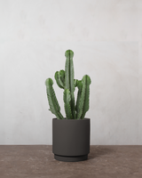 type=Simple krukke/color=Warm Black