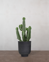 type=Vig krukke/color=Sort