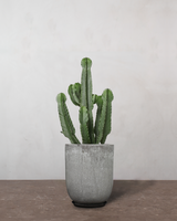 type=Glaseret krukke/color=Grå