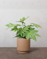 type=Simple krukke/color=Pale Terracotta